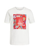 56592_1960|aa5129161b01179a60b25a99a435f8a4