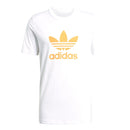 68003_2298|447b177da214985c3163bd7f1a6d9dbc