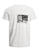 68182_2298_2|039b45c009a8226a885494d2ac098edc