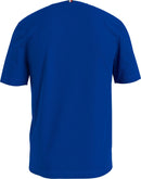 68550_10707_4|f343643db631231f913343bd51a752ba