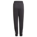 68972_3287_2|499942491f4626bb76b768bbe153fcdc