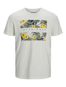 71028_1960|927fedce93213786e9983b09c3fe6381