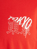 71031_11700_3|7d68eaee257b630bd5120e51c5787c8c