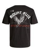 71031_8936_2|41311fa59ea538bccd0104215323e481