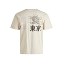 71042_11299_2|c6d513ec31f7293af04796b34b61407d