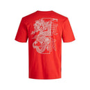 71042_11700_2|b67a8ce4ccd32e45b7fcf5428b77d946