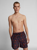 71119_11785_2|7c98ceecd5bbdaa523871c0568f5c828