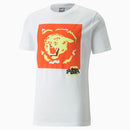 71427_11923|51eff82e67665e4d720cf13789437117