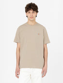 74587_13129_3|8a509fd707e472865b2b084f64713cbb