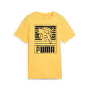 78596_13353|b233b68f8aa78e0eb9cca1e873c4e64a