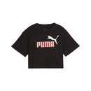 78597_8362|8ffe3331167f3e210e21311cae3c83f5