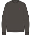 79312_15236|440081e876d2a8178b5b60ff219479dc