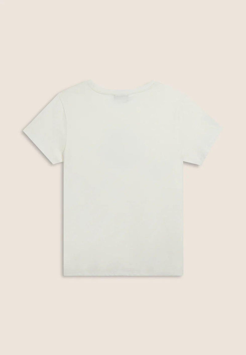 79506_1823_2|5520f48e094eeceb30481a8041d6abda