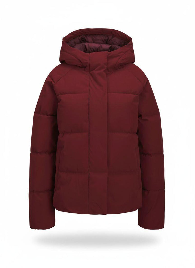 79617_15362|2988be2953d8c80a57285370eddf4d39