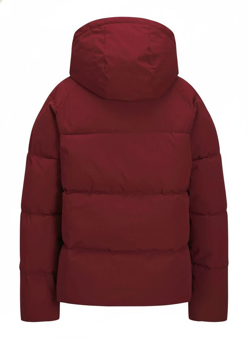 79617_15362_2|54c41d02d4608753659d56367c09ab17