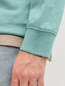 80639_15816_4|1edb91bc54adeb1d76f47cd60d963a8b