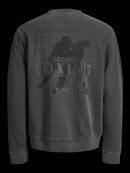 80645_8936_2|290500ed1ead7ecf93ffc71a83d39f42