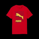 81201_14515|1e8728cc6259d8ad3fd9324bd5df9559