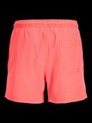 81629_11702_2|583cadc3d990cba46ddd05cdcb7f04e5
