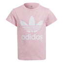 70395_8282|2f790203d99ad7e6b47e15ffa98cf30a