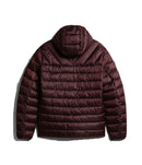 71731_12032_2|4563ec83dd62799dfe4289f2ded0f584