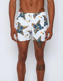 72703_12494_2|ed9a8f7cda736f7e85e8601ba4d1dff3