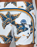 72703_12494_3|e7391bc9dbc79d49346a83ad5bd2c690