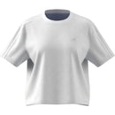 72851_2298_2|fd6ddf12749088bb5394aa81a336c3e0