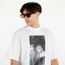 72977_9141_5|788ffe2ae1dc298d6bcbeab6c6decdec