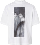 72977_9141|9254012a78b2b4897c1f7630c62a2c3c