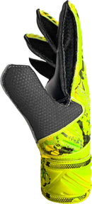 74471_13046_3|80e6db1439d9107136d8e0a53de68065