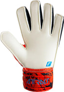 74471_13047_2|69f4947ccf8e26613c86168a6b56a949