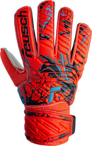 74471_13047|782b4871b2680c456507028a64c16e5b