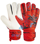 74472_13047_4|79c07cd5e418a149fb306d2dfae35460