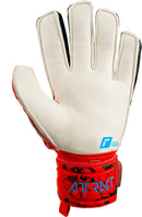 74473_13047_3|53301bad5d47b44e33315a66ea55bc9f