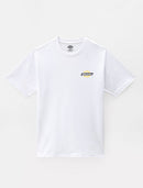 74589_13102|4e3f3a4f16c6879fb14ea51a5e5c81ec