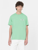 74596_13104_3|df0bbe731dc632a8a9fa66a772bf2af1