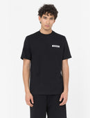 74596_4847_3|4af8c8ca70f87271f4dbecc13d6cc481