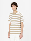 74611_13103_3|5b23c7a59ec39305f513c8d9791a7efb