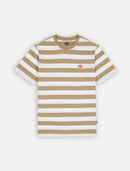 74611_13103|abb98f009b7b8e2922850c0623d3ec51