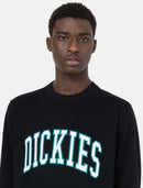 74615_13127_5|86e1d3ddabff628bfc2df8a45d1f7fe0