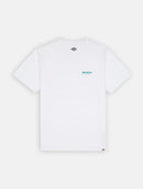 74617_13102|11fc71ea51f1a2461a9b24ff9a683fd7