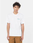 74617_13102_3|d236a6676f239edb9b222ab9f7c5d0ec