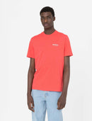 74617_13128_3|87178c58cbef3e4282207de5011a2223