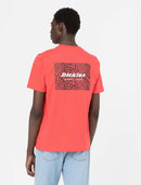 74617_13128_4|34eeb8dcf1eef22f00b1141e0fced14f