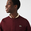 LACOSTEFELPA UOMO - Sport One store 🇮🇹